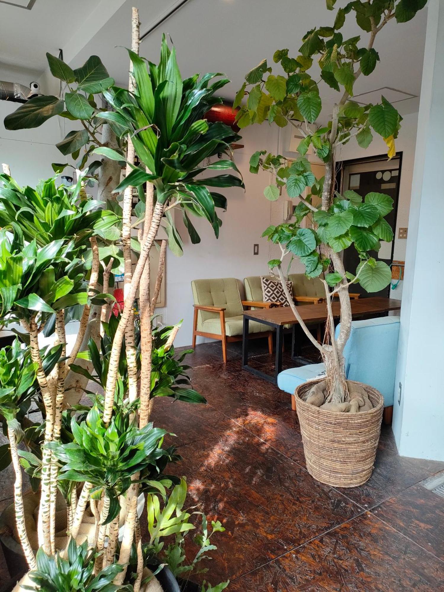 Hostel Ouji Music Lounge Präfektur Tokio